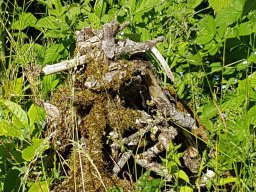 Rita offene Gartentor